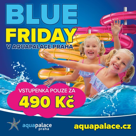 Blue Friday - pouze 490,- pro každého na celý den  do vodního světa až do 8.12.2024